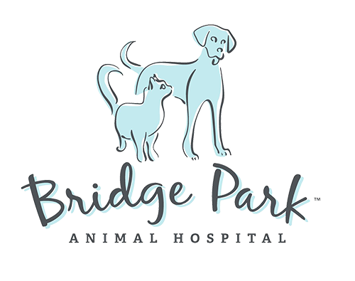 Bridge Park Animal Hospital Icon